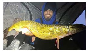 Oneida Lake Association member Troy McMullen pulled this monster pickerel through the ice on Oneida Lake. 7.7 lbs!