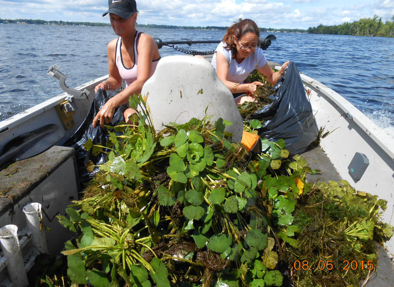 Oneida Lake Association - by Scott Shupe
