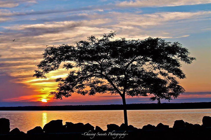 Oneida Lake Association - by Kate Chick Anyon