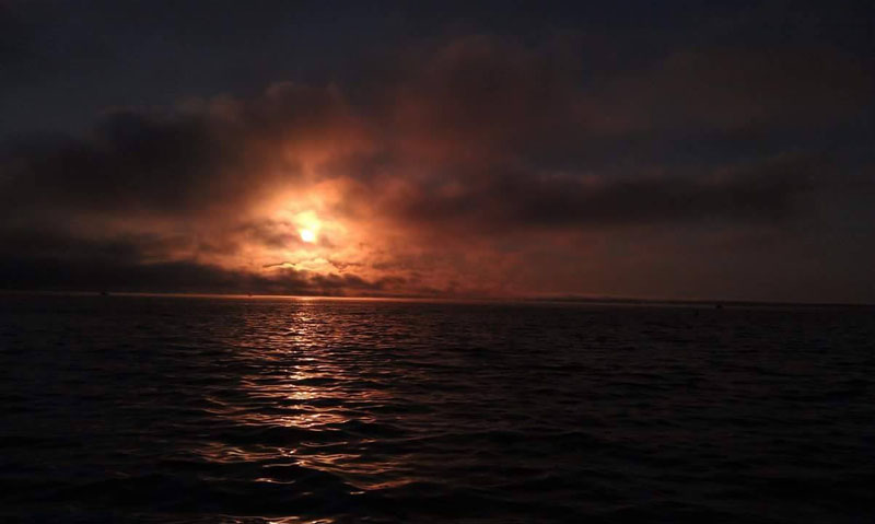 Oneida Lake Association - by Gary Johnson