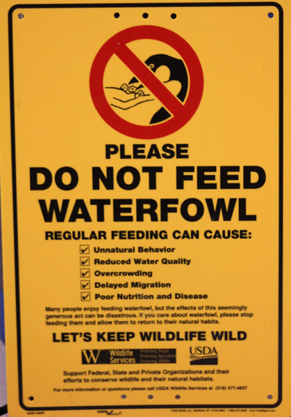 Oneida Lake Association Nuisance Geese Workshop