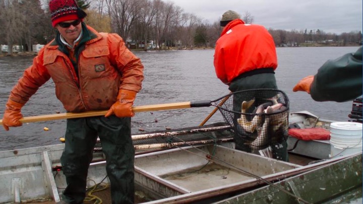 Hatchery Catching Walleye
